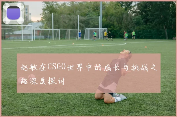 赵敏在CSGO世界中的成长与挑战之路深度探讨